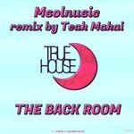 cover: Msolnusic - The Back Room