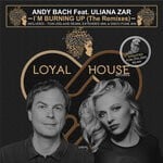 cover: Andy Bach - I'm Burning Up (The Remixes)