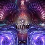 cover: Hairbass - Didi