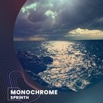 cover: Sprinth - Monochrome