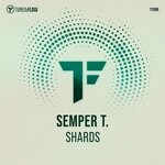 cover: Semper T. - Shards