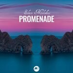 cover: Promenade - Solace Melodies