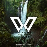 cover: Fredi Vega - Blossom / Echos