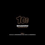 cover: Goldie|Rob Playford - The Shadow (Process Mix Edit) / The Shadow (Grooverider Jeep Mix Edit) / The Shadow / The Shadow (Bing Here Mix) / The Shadow (Grooverider Jeep Mix)