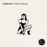 cover: Charlie Curtin - Work It / Glossy Ibis