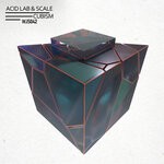 cover: Acid Lab|Scale - Cubism