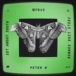 cover: Peter W - Feels Like Summer