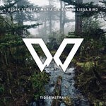 cover: Bjork Stellar|Liesa Bird|Maria Die Ruhe - Tides Astray