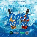 cover: Destroyer - FLOSS DEM ALL