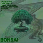 cover: Various - Bonsai