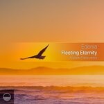 cover: Edonia - Fleeting Eternity (Andrew Frenir Remix)