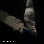 cover: Insistant - Belonging