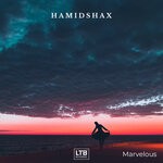 cover: Hamidshax - Marvelous