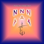 cover: Flying Decibels - Na Na Na