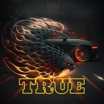 cover: Chris Century - True