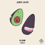 cover: James Jacob - Flow