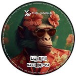 cover: Luisfe - Dale Brinca (Original Mix)