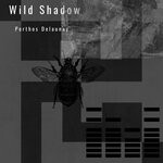 cover: Porthos Delaunay - Wild Shadow