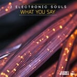 cover: 2 Electronic Souls - What You Say