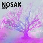 cover: Nosak - Wisdom