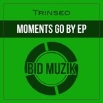 cover: Trinseo - Moments Go By