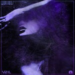 cover: Veil - Summon