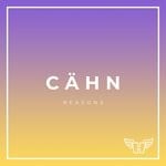 cover: Cahn - Reasons