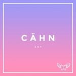 cover: Cahn - Shy