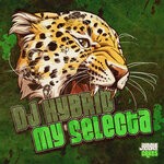 cover: Dj Hybrid - My Selecta