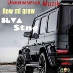 cover: Slva Stne - Way Me Grow