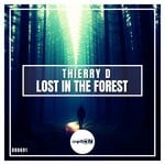 cover: Thierry D - Lost In The Forest