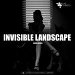 cover: Invisible Landscape - Much Higher