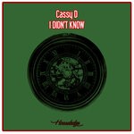 cover: Cassy D - I Didn't Know