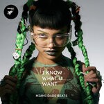 cover: Miami Dade Beats - I Know What U Want