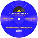 cover: Aldo Bergamasco|Antonello Ferrari - Burnin