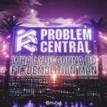 cover: Problem Central|Demolition Man - What You Gonna Do