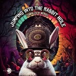 cover: Various - Jumping Into The Rabbit Hole (Compiled By Mergel)