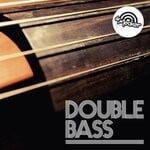 cover: Dr Meaker - Double Bass