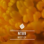 cover: Nt89 - Mist EP