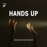 cover: Miami Dade Beats - Hands Up