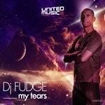 cover: DJ Fudge - My Tears