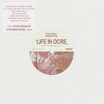 cover: Antoine Berjeaut - Life In Ocre