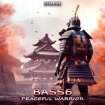 cover: Bass6 - Peaceful Warrior