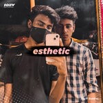 cover: Slo-fi Buddies - Esthetic