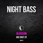 cover: Blossom - Big Shot