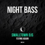 cover: Smalltown Djs - Flying Again