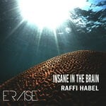 cover: Raffi Habel - Insane The Brain