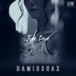 cover: Hamidshax - True Love (Original Mix)