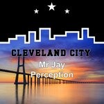 cover: Mr Jay - Perception