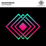 cover: Falcos Deejay - Gotta Know